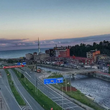 Otel Paluri 4*
