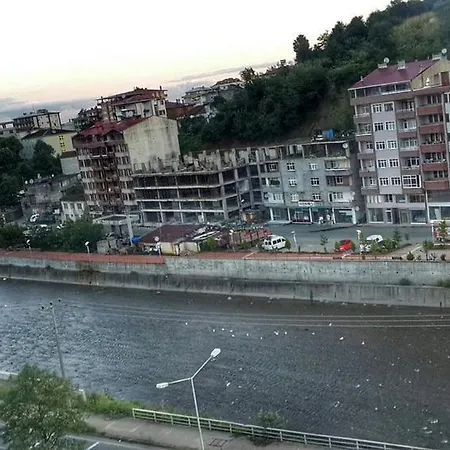Paluri 4* Hopa