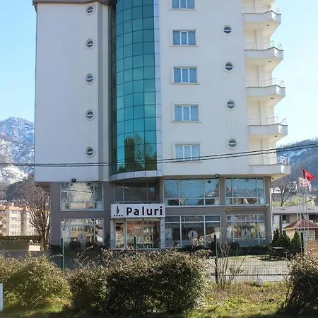 Paluri