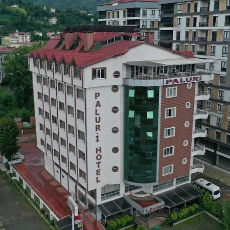 Otel Paluri